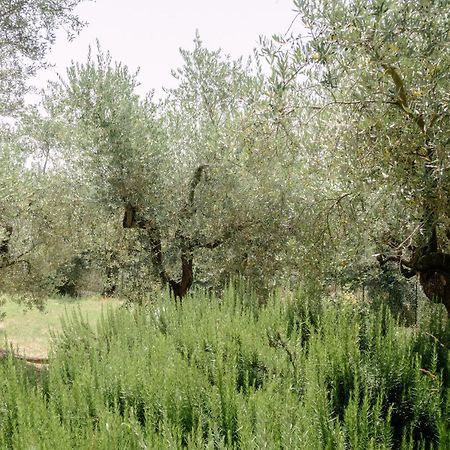 Casa Lunaria Moscufo 外观 照片