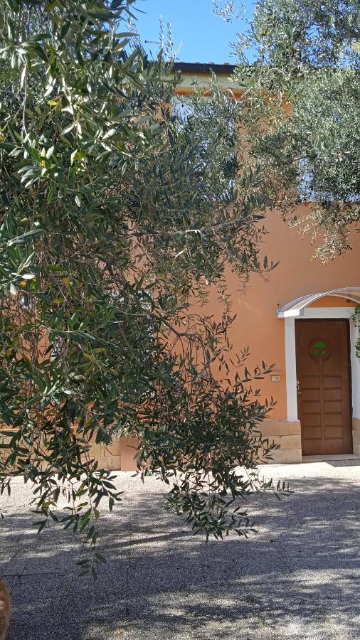 Casa Lunaria Moscufo 外观 照片