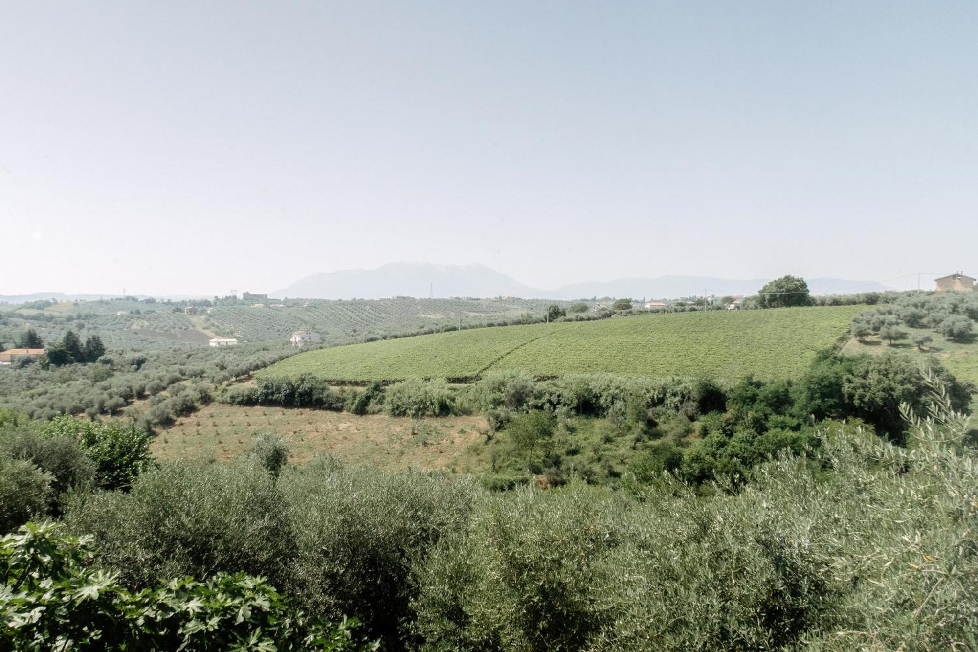 Casa Lunaria Moscufo 外观 照片