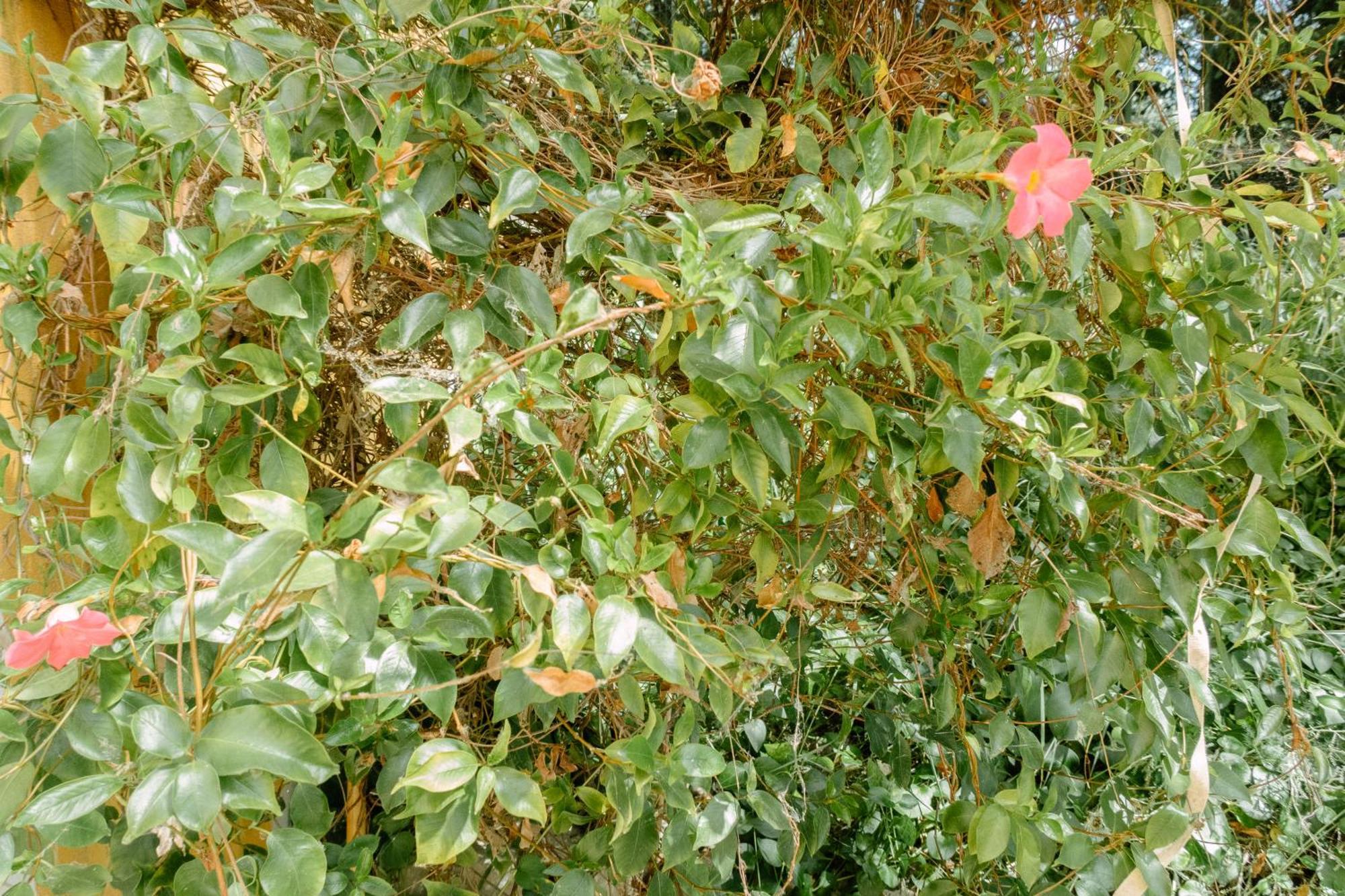 Casa Lunaria Moscufo 外观 照片