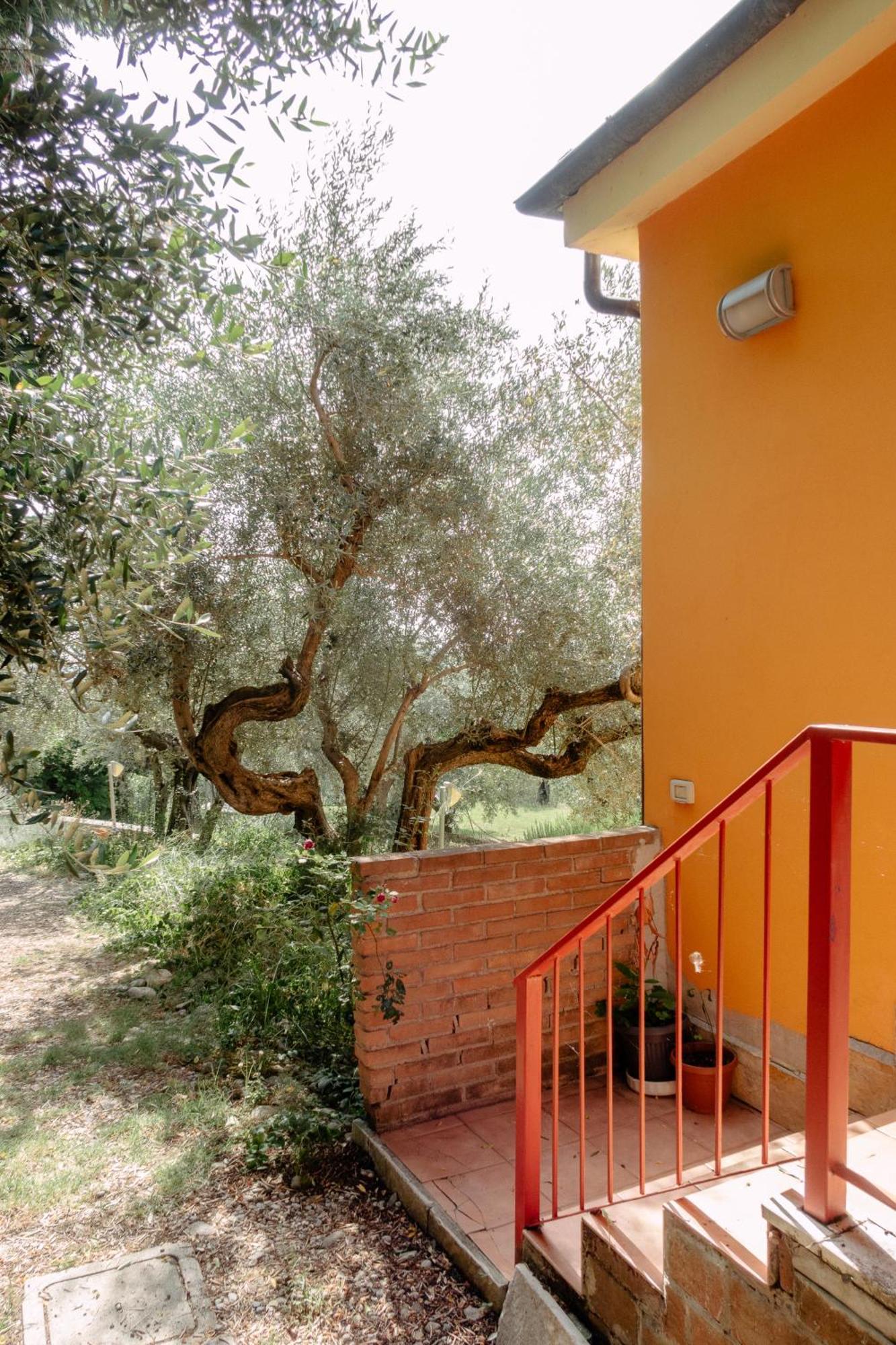 Casa Lunaria Moscufo 外观 照片